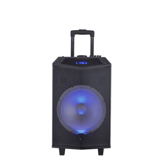 OYILITY DK-12 12" Taşınabilir Ses Sistemi - 2
