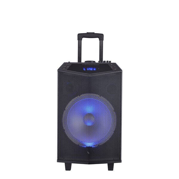 OYILITY DK-12 12" Taşınabilir Ses Sistemi - 2