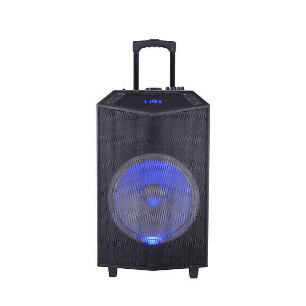 OYILITY DK-15 Taşınabilir 15" Hoparlör - 2