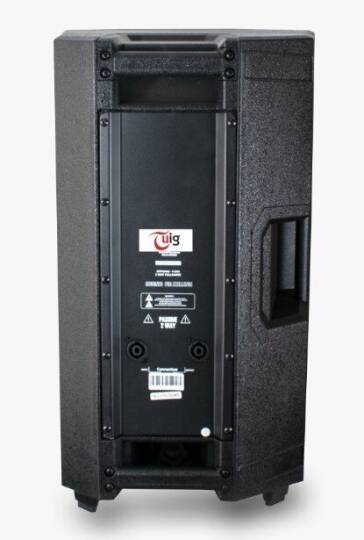 TUİG TG-15 PS 1000W 15" Pasif Hoparlör - 2