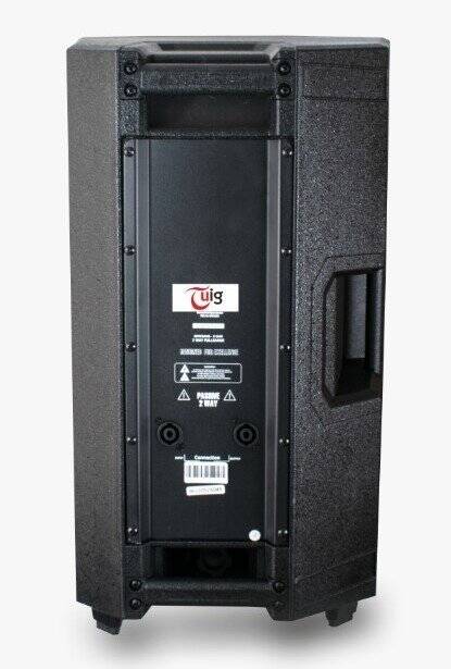 TUİG TG-15 PS 1000W 15" Pasif Hoparlör - 2