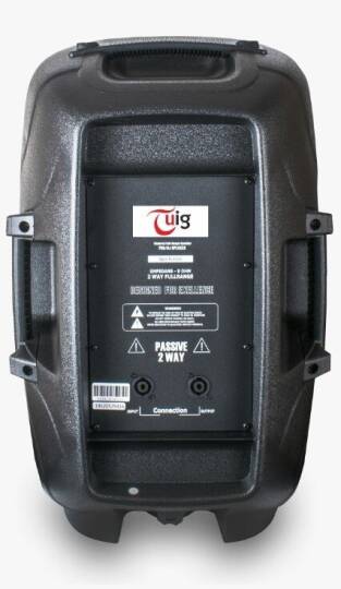 TUİG TS-15PS 15" 800 Watt Pasif Hoparlör - 2
