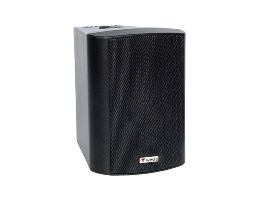 WESTA WS-4TB 10 cm Trafolu Duvar Hoparlörü - 1