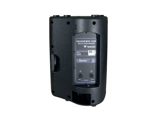 WESTA WSS-1000 10" 2 Yollu Pasif Hoparlör - 2
